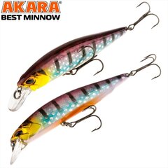 Vaappu Akara Best Minnow 100SP A209 hinta ja tiedot | Vieheet ja uistimet | hobbyhall.fi