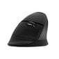 Wireless Vertical Mouse Delux M618Mini DB BT+2.4G 2400DPI (black) hinta ja tiedot | Hiiret | hobbyhall.fi