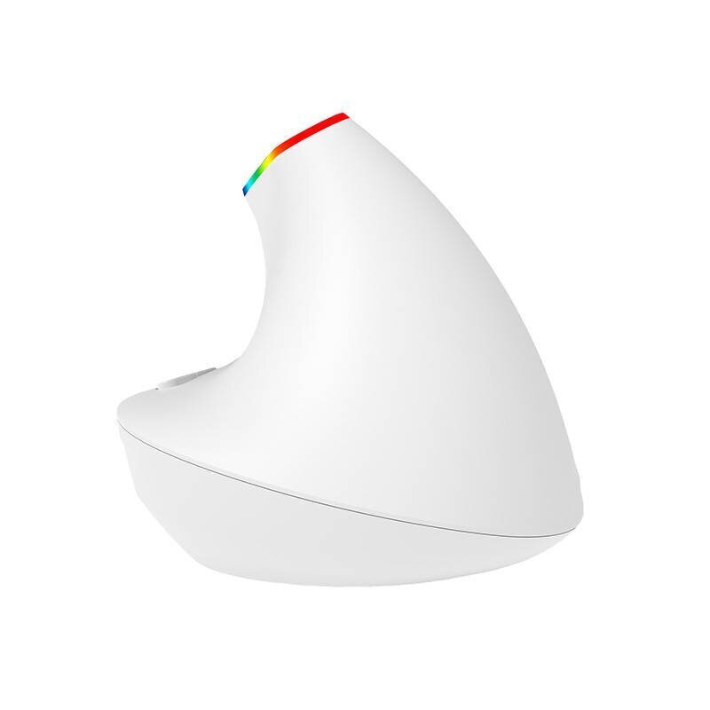 Wireless Vertical Mouse Delux M618C 2.4G 1600DPI RGB (white) hinta ja tiedot | Hiiret | hobbyhall.fi