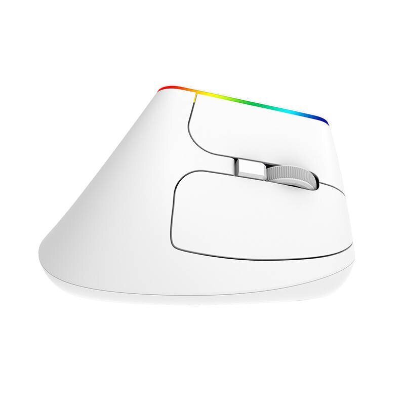 Wireless Vertical Mouse Delux M618C 2.4G 1600DPI RGB (white) hinta ja tiedot | Hiiret | hobbyhall.fi