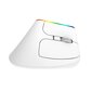 Wireless Vertical Mouse Delux M618C 2.4G 1600DPI RGB (white) hinta ja tiedot | Hiiret | hobbyhall.fi