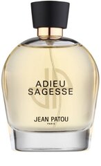 Eau de parfum Jean Patou Adieu Sagesse naisille 100 ml hinta ja tiedot | Jean Patou Hajuvedet ja kosmetiikka | hobbyhall.fi