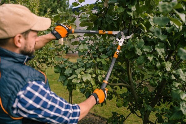 Leikkaussakset Bradas tukiterillä TELESCOPIC ALU, oksien karsimiseen hinta ja tiedot | Puutarhatyökalut | hobbyhall.fi