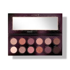 Luomiväripaletti Affect Treasures Eyeshadows Palette, 12x24g hinta ja tiedot | Affect Hajuvedet ja kosmetiikka | hobbyhall.fi