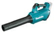 Lehtipuhallin Makita DUB184Z hinta ja tiedot | Oksasilppurit, lehtipuhaltimet | hobbyhall.fi