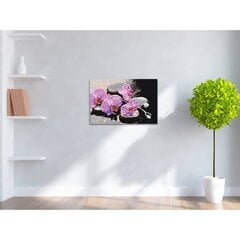 DIY maalaus, maalaa numeroilla -Orkidea 40x60 hinta ja tiedot | Maalaa numeroiden mukaan | hobbyhall.fi