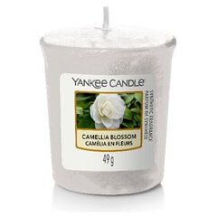 Tuoksukynttilä Yankee Candle Camellia Blossom 49 g hinta ja tiedot | Yankee Candle Huonekalut ja sisustus | hobbyhall.fi