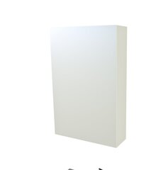 Ripustettava kylpyhuonekaappi peilillä Scandic CV46B hinta ja tiedot | Kylpyhuonekaapit | hobbyhall.fi