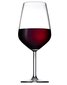 Pasabahce viinilasit Allegra 490 ml, 6 kpl. hinta ja tiedot | Lasit, mukit ja kannut | hobbyhall.fi