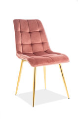 Signal Meble Chic 4 tuolin sarja, pinkki/kulta hinta ja tiedot | Ruokapöydän tuolit | hobbyhall.fi