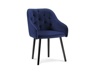 4-tuolisetti Milo Casa Luisa, kirkkaan sininen hinta ja tiedot | Milo Casa Keittiön kalusteet | hobbyhall.fi