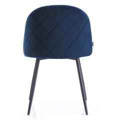 Tuoli Homede Faro, sininen. hinta ja tiedot | Ruokapöydän tuolit | hobbyhall.fi