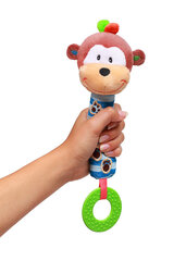 Lelu helisevä apina purulelulla, 619 hinta ja tiedot | Vauvan lelut | hobbyhall.fi