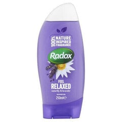 Suihkugeeli Radox Feel Relaxed 250 ml hinta ja tiedot | Suihkusaippuat ja suihkugeelit | hobbyhall.fi