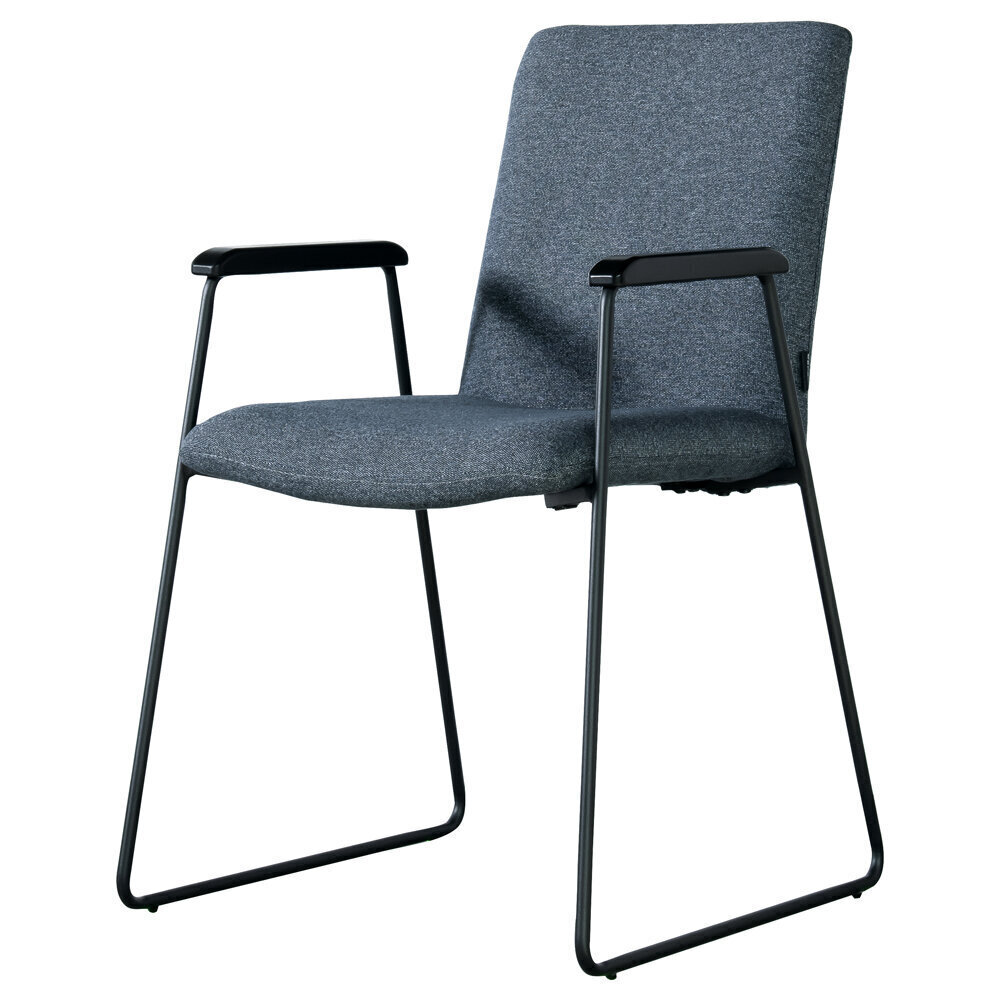 2-tuoli Selsey Alake, sininen hinta ja tiedot | Ruokapöydän tuolit | hobbyhall.fi