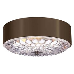 Kattovalaisin Elstead Lighting Botanic FE-BOTANIC-F-F-M hinta ja tiedot | Kattovalaisimet | hobbyhall.fi