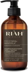 Palauttava shampoo, jossa on pähkinäpensas- ja manteliöljyä Riah Sicilia, 200 ml hinta ja tiedot | Shampoot | hobbyhall.fi
