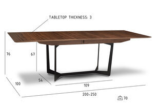 Jatkettava ruokapöytä TOKYO 200-250x100 cm hinta ja tiedot | Ruokapöydät | hobbyhall.fi