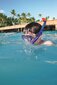 Sukelluspakkaus lapsille Bestway Hydro-Swim Lil' Glider, vaaleanpunainen/sininen hinta ja tiedot | Snorklaussetit | hobbyhall.fi