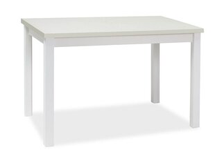 Signal Meble Adam -pöytä, 100x60cm, valkoinen hinta ja tiedot | Ruokapöydät | hobbyhall.fi