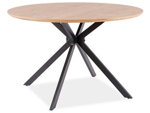 Pöytä Signal Meble Aster 120 cm, ruskea. hinta ja tiedot | Ruokapöydät | hobbyhall.fi