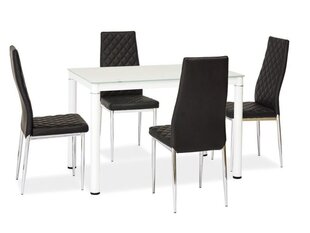 Galant-ruokapöytä, 100 x 70 x 75 cm, valkoinen hinta ja tiedot | Ruokapöydät | hobbyhall.fi