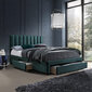 Grace -sänky, vihreä, 160 x 200 cm hinta ja tiedot | Sängyt | hobbyhall.fi