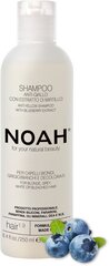 Shampoo blondeille, harmaille, valkoisille hiuksille, Naoh Anti-Yellow mustikkauutteella, 250 ml hinta ja tiedot | Noah Hajuvedet ja kosmetiikka | hobbyhall.fi