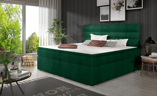 Sänky NORE Softy 160x200 cm, tummanvihreä hinta ja tiedot | Sängyt | hobbyhall.fi
