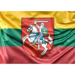 Magneetti Liettuan lippu hinta ja tiedot | Sisustustarrat | hobbyhall.fi