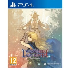 Record of Lodoss War: Deedlit in Wonder Labyrinth Playstation 4 PS4 peli hinta ja tiedot | Tietokone- ja konsolipelit | hobbyhall.fi