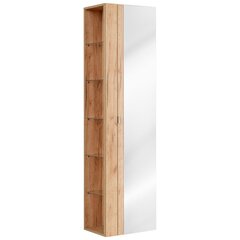 Kylpyhuoneen kaappi Hakano Barios, 45x170 cm, ruskea hinta ja tiedot | Kylpyhuonekaapit | hobbyhall.fi