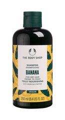 Shampoo The Body Shop Shampooing Nourrissant Banane, 250 ml hinta ja tiedot | Shampoot | hobbyhall.fi
