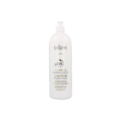 Shampoo Purificant Exitenn, 1000 ml hinta ja tiedot | Shampoot | hobbyhall.fi