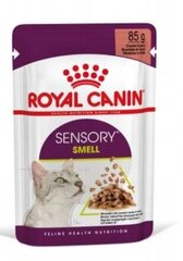 Royal Canin Sensory Smell Gravy -purkki kissoille, 12 x 85 g. hinta ja tiedot | Kissanruoka | hobbyhall.fi