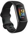 Fitbit Charge 5 Black/Graphite FB421BKBK