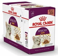 Royal Canin Sensory Taste Gravy -purkki kissoille, 12 x 85 g. hinta ja tiedot | Kissanruoka | hobbyhall.fi