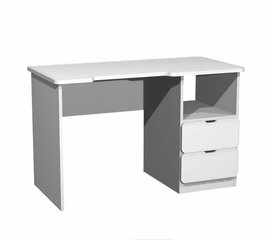 Ami B -kirjoituspöytä, 75 x 120 x 60 cm hinta ja tiedot | Tietokonepöydät ja työpöydät | hobbyhall.fi