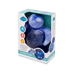 Yövalo valoprojektiolla ja melodioilla Turtle violetti Tranquil Turtle Aqua Ocean, Cloud B 008434 hinta ja tiedot | Vauvan lelut | hobbyhall.fi