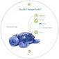 Yövalo valoprojektiolla ja melodioilla Turtle violetti Tranquil Turtle Aqua Ocean, Cloud B 008434 hinta ja tiedot | Vauvan lelut | hobbyhall.fi