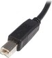 StarTech USB2HAB1M hinta ja tiedot | Puhelinkaapelit | hobbyhall.fi