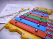 Lasten puinen ksylofoni Djeco Animambo, DJ06002 hinta ja tiedot | Kehittävät lelut | hobbyhall.fi