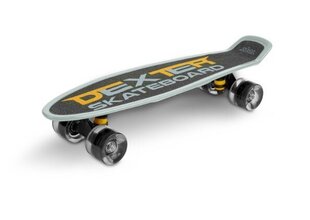 Skateboard Dexter + kypärä ja suoja, harmaa hinta ja tiedot | Skeittilaudat | hobbyhall.fi