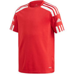 Adidas Squadra 21 Jersey Youth Jr GN5746 hinta ja tiedot | Poikien paidat | hobbyhall.fi