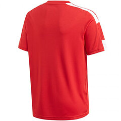 Adidas Squadra 21 Jersey Youth Jr GN5746 hinta ja tiedot | Poikien paidat | hobbyhall.fi