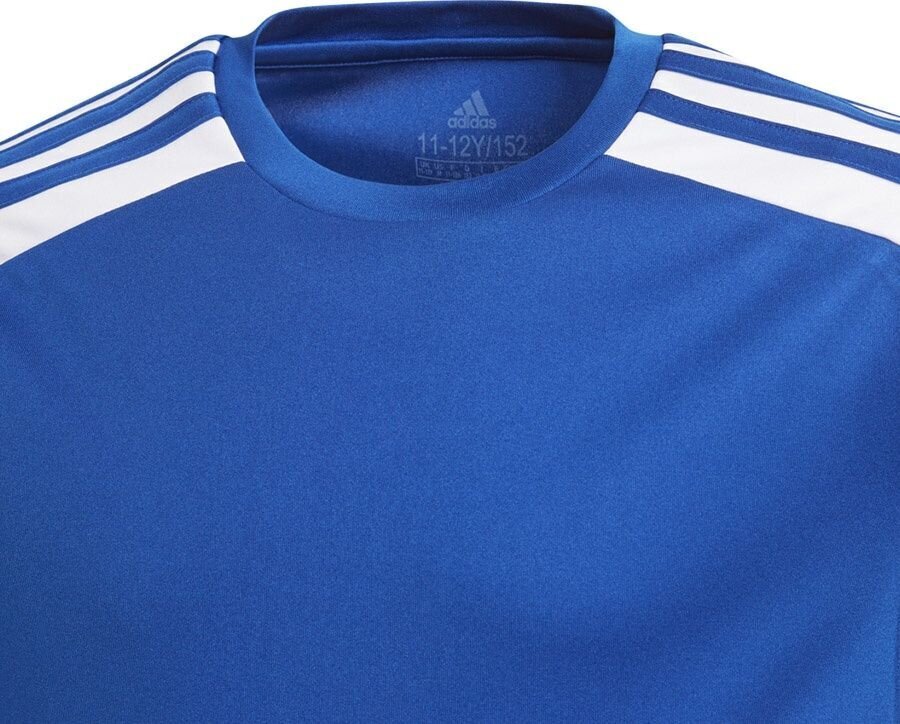 Adidas Squadra 21 -T-paita, sininen hinta ja tiedot | Jalkapallovaatteet ja -varusteet | hobbyhall.fi