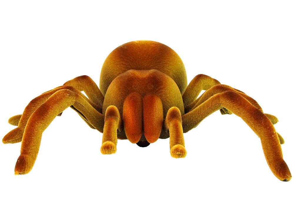 Lean toys Spider Tarantula Infrared Brown R/C kaukosäätimellä hinta ja tiedot | Kehittävät lelut | hobbyhall.fi