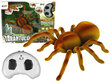 Lean toys Spider Tarantula Infrared Brown R/C kaukosäätimellä hinta ja tiedot | Kehittävät lelut | hobbyhall.fi