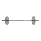 Tunturi Functional Training Olympic 15 kg hinta ja tiedot | Käsipainot, kahvakuulat ja voimaharjoittelu | hobbyhall.fi