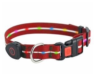 Valoisa LED-koirapanta - merkkivalo MT7115 (punainen) hinta ja tiedot | Koiran valjaat ja kaulapannat | hobbyhall.fi